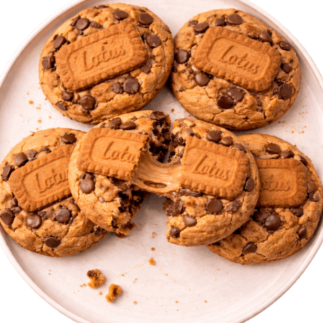 Snackary Artisanal Lotus Biscoff Cookie Assortment Pull